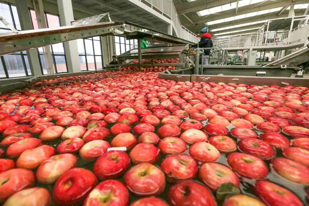 Post-Harvest Produce Sanitization